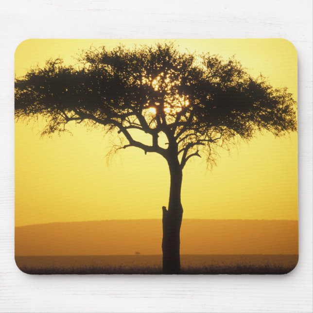 Afrika, Kenia, Masai Mara Game Reserve, Aufstieg Mousepad (Vorne)