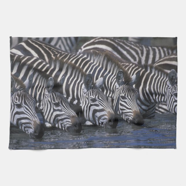 Afrika, Kenia, Masai Mara Game Reserve, Ebenen Handtuch (Horizontal)