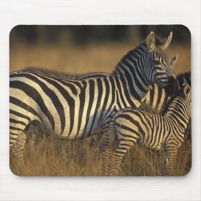 Afrika, Kenia, Masai Mara Game Reserve. Ebenen Mousepad (Vorne)