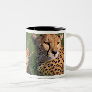 Afrika, Kenia, Masai Mara Game Reserve. Gepard Zweifarbige Tasse