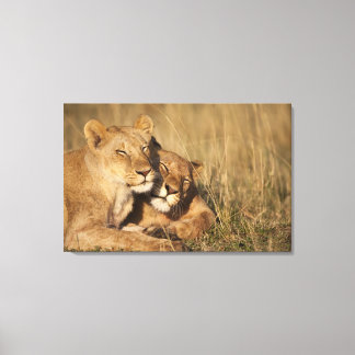 Afrika, Kenia, Masai Mara Game Reserve, Jung Leinwanddruck