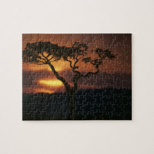 Afrika, Kenia, Masai Mara Game Reserve, Szene Puzzle