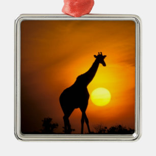 Afrika, Kenia, Masai Mara. Giraffe (Giraffa Ornament Aus Metall