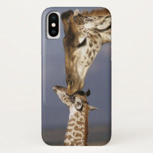Afrika, Kenia, Masai Mara. Giraffen (Giraffa camel Case-Mate iPhone Hülle