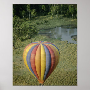 Afrika, Kenia, Masai Mara National Preserve, 3 Poster
