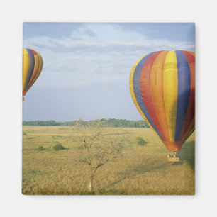 Afrika, Kenia, Masai Mara National Preserve, Magnet