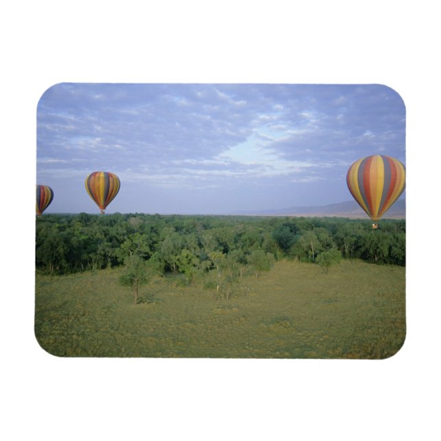 Afrika, Kenia, Masai Mara National Reserve, 2 Magnet (Horizontal)
