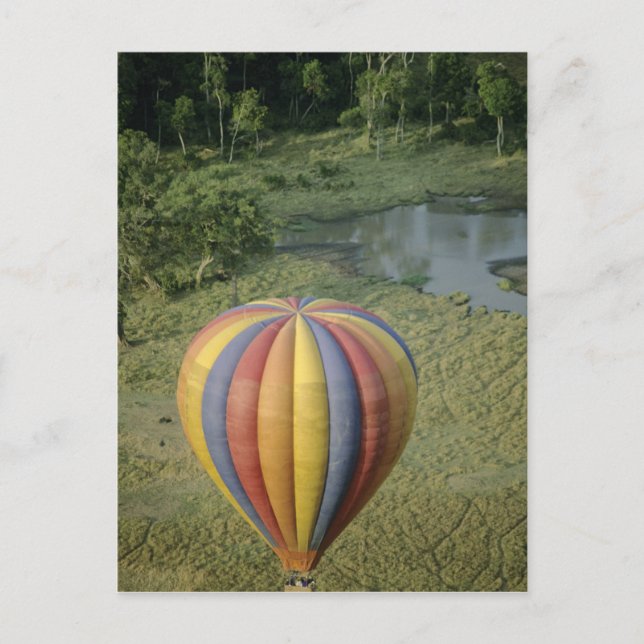 Afrika, Kenia, Masai Mara National Reserve, 3 Postkarte (Vorderseite)