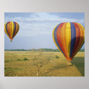 Afrika, Kenia, Masai Mara National Reserve, Poster