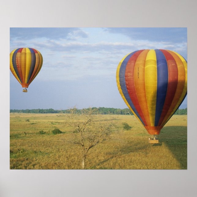 Afrika, Kenia, Masai Mara National Reserve, Poster (Vorne)