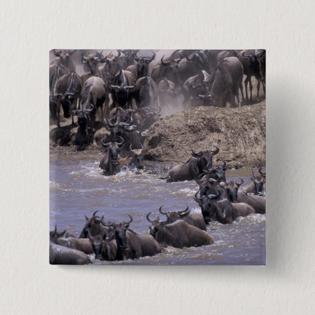 Afrika, Kenia, Masai Mara Nationalpark. Button (Vorderseite)