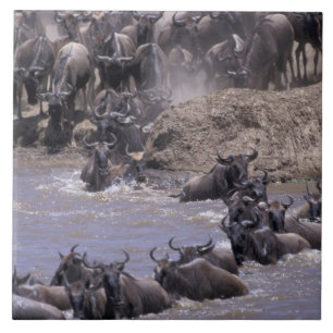 Afrika, Kenia, Masai Mara Nationalpark. Fliese