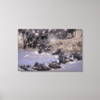 Afrika, Kenia, Masai Mara Nationalpark.