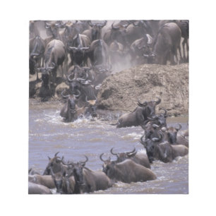 Afrika, Kenia, Masai Mara Nationalpark. Notizblock