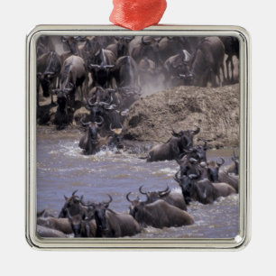 Afrika, Kenia, Masai Mara Nationalpark. Silbernes Ornament