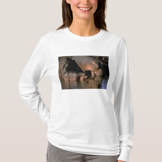 Afrika, Kenia, Masai Mara. Nilpferde T-Shirt (Vorderseite)
