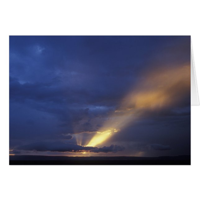 Afrika, Kenia, Masai-Mara-Spielreservat, Lage 2 (Vorderseite (Horizontal))