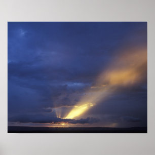Afrika, Kenia, Masai Mara Spielreserve, Einstellun Poster