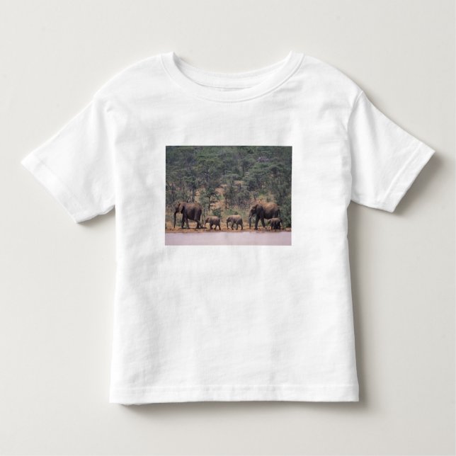 Afrika, Kenia, Nanyuki, Mpala. afrikanisch Kleinkind T-shirt (Vorderseite)
