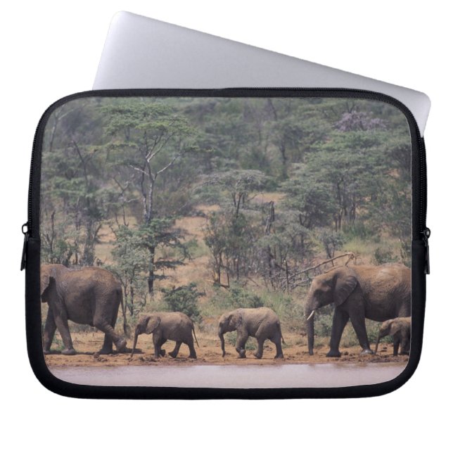 Afrika, Kenia, Nanyuki, Mpala. afrikanisch Laptopschutzhülle (Vorderseite)