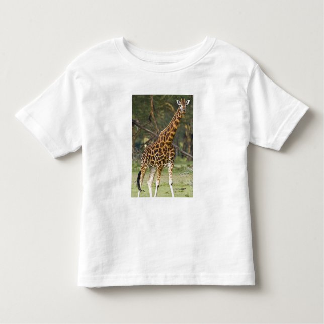 Afrika. Kenia. Rothschild's Giraffe am 2. See Kleinkind T-shirt (Vorderseite)