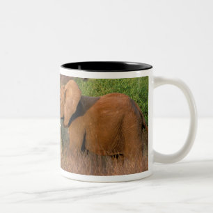 Afrika, Kenia, Samburu. Elefant Herausforderung Zweifarbige Tasse
