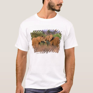 Afrika, Kenia, Samburu. Elefanten-Herausforderung T-Shirt