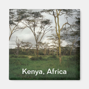Afrika - Kenia-Wildland Magnet