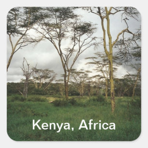 Afrika Kenia Wildland Quadratischer Aufkleber