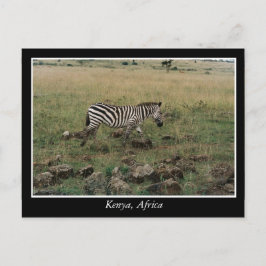 Afrika - Kenia - Wildtiere Postkarte