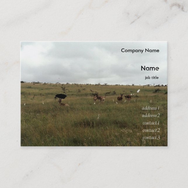 Afrika - Kenia - Wildtiere Visitenkarte (Vorderseite)