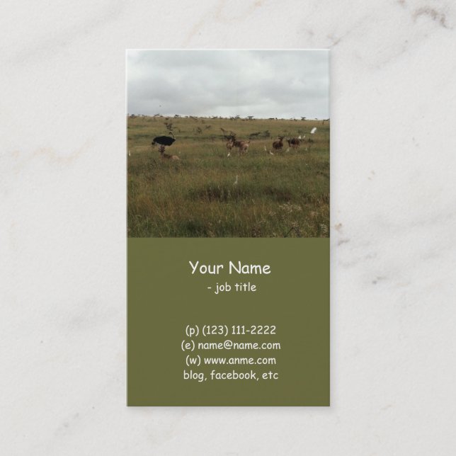 Afrika - Kenia - Wildtiere Visitenkarte (Vorderseite)