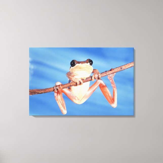 Afrika Leinwanddruck (Vorderseite)