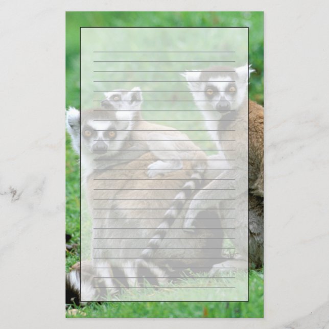 Afrika, Madagaskar, Antananarivo, Tsimbazaza Briefpapier (Vorderseite)