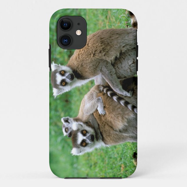 Afrika, Madagaskar, Antananarivo, Tsimbazaza Case-Mate iPhone Hülle (Rückseite)