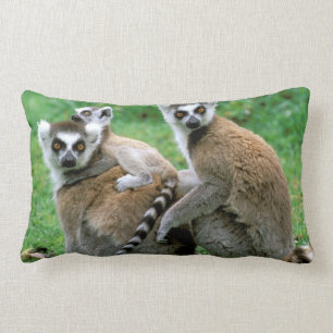 Afrika, Madagaskar, Antananarivo, Tsimbazaza Lendenkissen