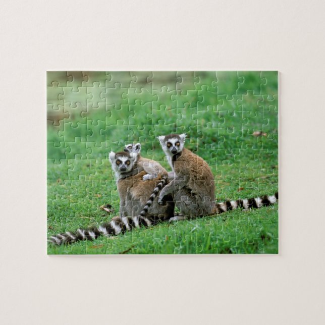 Afrika, Madagaskar, Antananarivo, Tsimbazaza Puzzle (Horizontal)