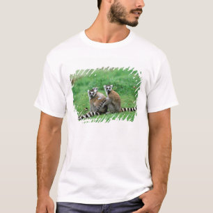 Afrika, Madagaskar, Antananarivo, Tsimbazaza T-Shirt