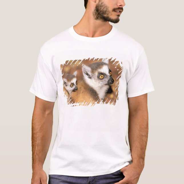Afrika, Madagaskar, Berenty Private Reserve. T-Shirt (Vorderseite)