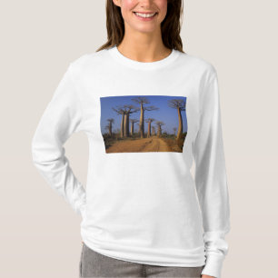 Afrika, Madagaskar, Morondava, Baobab-Allee. T-Shirt