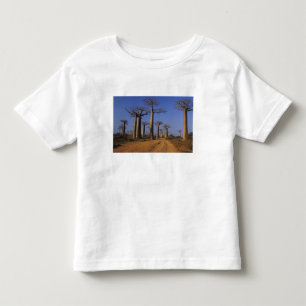 Afrika, Madagaskar, Morondava, Baobab Avenue. Kleinkind T-shirt