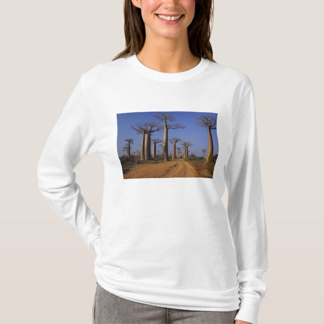 Afrika, Madagaskar, Morondava, Baobab Avenue. T-Shirt (Vorderseite)