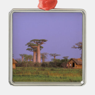 Afrika, Madagaskar, Morondava. Baobabs Ornament Aus Metall