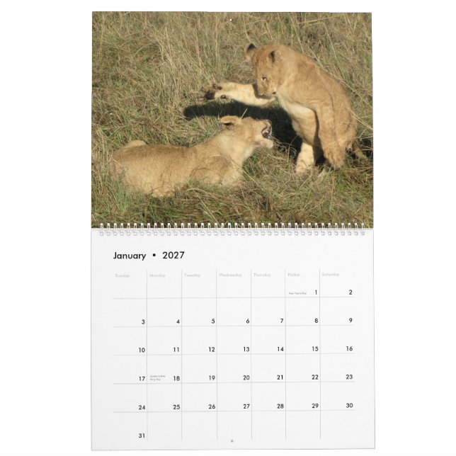AFRIKA - Million Tier-Kalender 2014 (Zwei-Seite Kalender (Jan 2027)