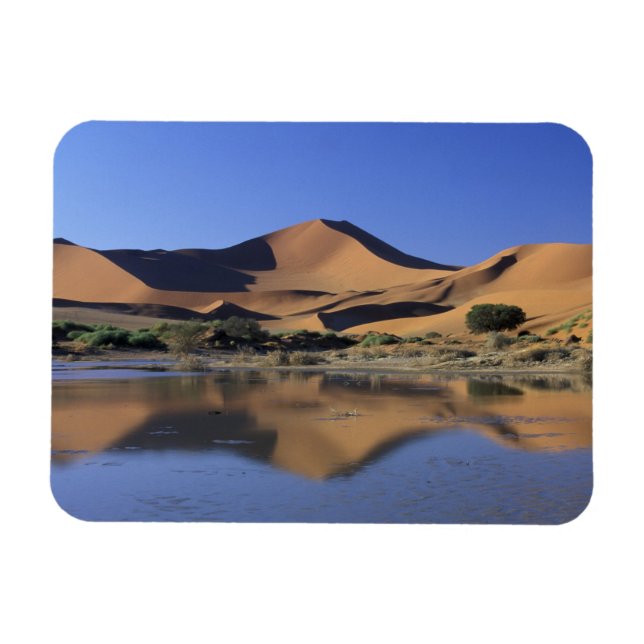 Afrika, Namibia, Namib-Nationalpark, Sossusvlei 2 Magnet (Horizontal)
