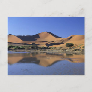 Afrika, Namibia, Namib-Nationalpark, Sossusvlei 2 Postkarte