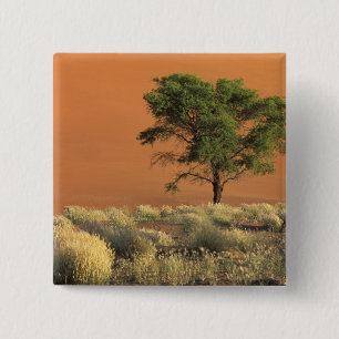 Afrika, Namibia, Namib-Nationalpark, Sossusvlei Button