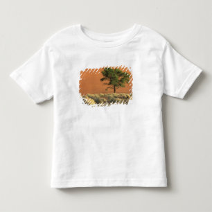 Afrika, Namibia, Namib-Nationalpark, Sossusvlei Kleinkind T-shirt