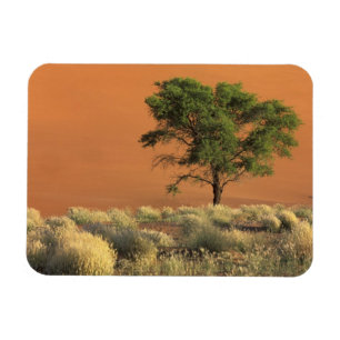 Afrika, Namibia, Namib-Nationalpark, Sossusvlei Magnet