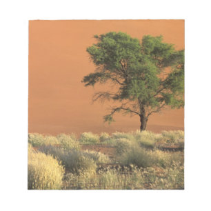 Afrika, Namibia, Namib-Nationalpark, Sossusvlei Notizblock